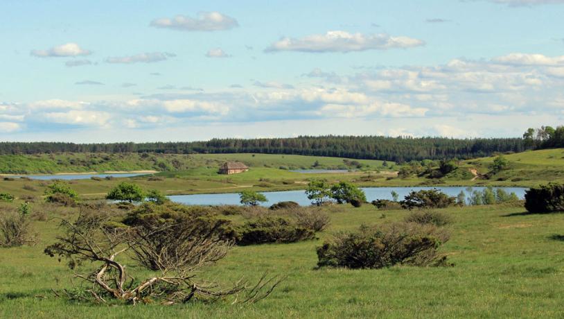 Stubbergaard sø - Flynder sø