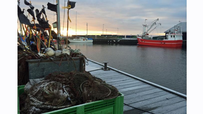 Jegindø Havn fiskeri